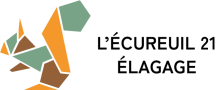 L'Écureuil 21 Élagage | Élagage sur Dijon et alentours
